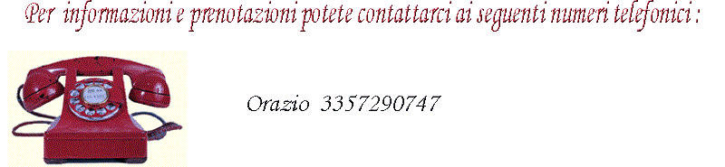 informazioni numeri di telefono
