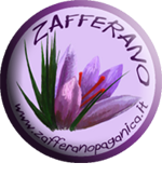 zafferano Paganica